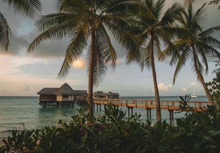 Overwater Suite - Le Tikehau by Pearl Resorts
Le Tikehau by Pearl Resorts