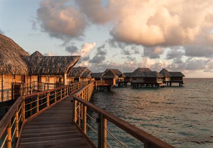 Overwater Suite - Le Tikehau by Pearl Resorts
Le Tikehau by Pearl Resorts