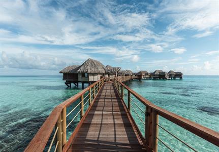 Overwater Suite - Le Tikehau by Pearl Resorts
Le Tikehau by Pearl Resorts