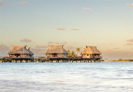 Premium Overwater Bungalow - Le Tikehau by Pearl Resorts
Le Tikehau by Pearl Resorts