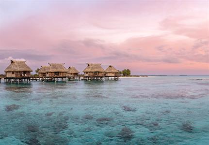 Premium Overwater Bungalow - Le Tikehau by Pearl Resorts
Le Tikehau by Pearl Resorts