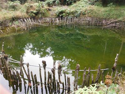 Pond at Diggers Camp
