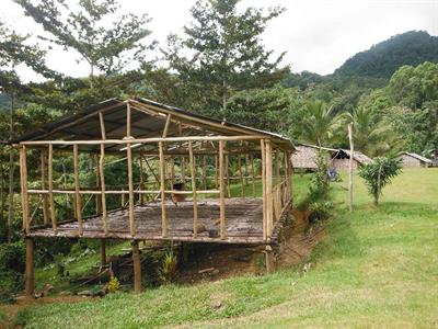 Hut located at Ioribaiwa Village
