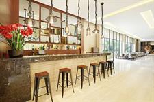 Lounge & Bar
Swiss-Belhotel Sorong
