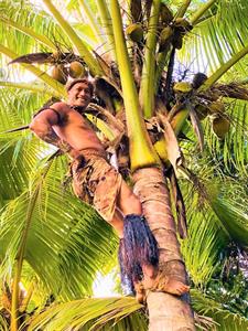 Tumutoa Tours - Coconut Tree Climbing
Tumutoa Tours