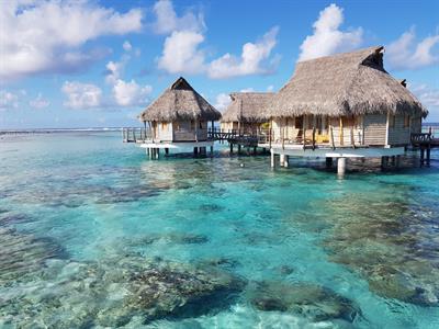 Overwater Bungalow - Le Tikehau by Pearl Resorts - City Accommodation ...