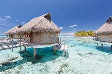 Tikehau Pearl Beach Resort - Rooms - Premium Overwater Bungalow
Le Tikehau by Pearl Resorts