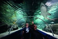 Kelly Tartons Underwater World
Swiss-Belsuites Victoria Park, Auckland, New Zealand