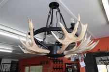 custom antler chandelier round
Iron Design