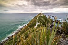 Nugget Point
