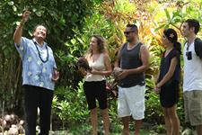 Island Discovery Tour - coconut demonstration
Raro Tours