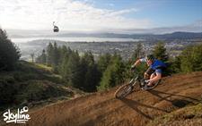 Mountain Biking
Skyline Rotorua