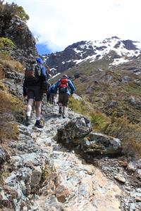 Routeburn Full Day Guided Walk 1
Nomad Safaris