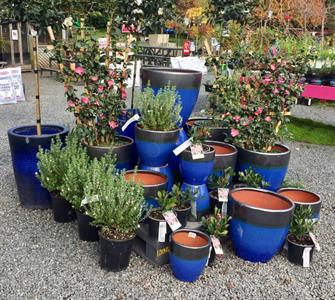 Outdoor pots
Decor Gardenworld
