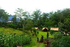 Village Huts
PNG Trekking Adventures - Kokoda