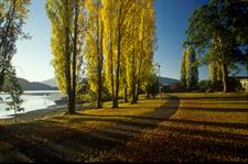 DH Te Anau- Autumn in Lake Te Anau
Distinction Te Anau Hotel & Villas