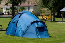 Tent Sites
Whanganui River TOP 10 Holiday Park