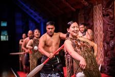 Cultural performance
Waitangi Treaty Grounds
