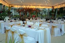 Wedding Reception
Manuia Beach Resort