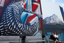 Hawera town mural by Lotte Hawley
Venture Taranaki