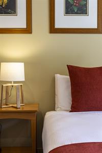 DH Fox Glacier - Hotel Room Portrait RM8223
Distinction Fox Glacier Te Weheka Hotel