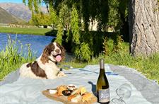 Dog Friendly Picnic
Kinross Winery