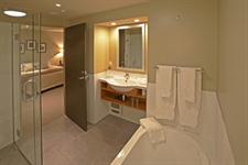 TW Fox Glacier - Ensuite
Te Weheka Hotel Fox Glacier - Managed by THC Hotels & Resorts