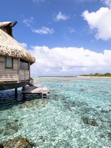 Premium Overwater Bungalow - Le Tikehau by Pearl Resorts
Le Tikehau by Pearl Resorts