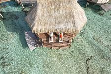 Premium Overwater Bungalow - Le Tikehau by Pearl Resorts
Le Tikehau by Pearl Resorts