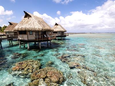 Overwater Bungalow - Le Tikehau by Pearl Resorts
Le Tikehau by Pearl Resorts