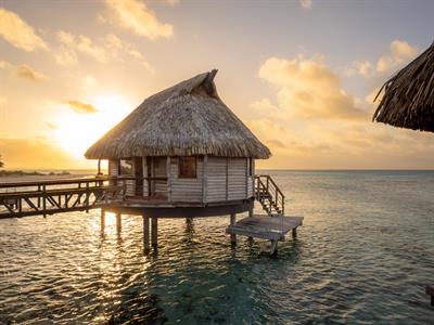 Premium Overwater Bungalow - Le Tikehau by Pearl Resorts
Le Tikehau by Pearl Resorts