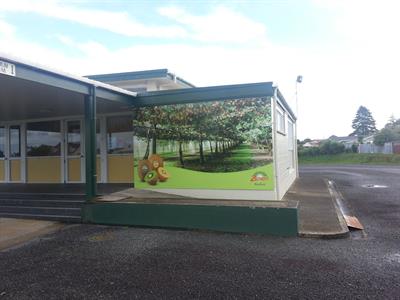 Mural Image
Kiwifruit Country Tours