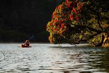 Kayaking
Paihia Top 10